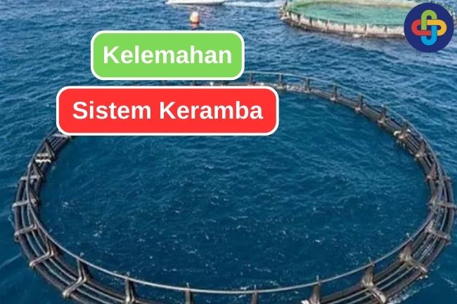 11 Kekurangan Metode Budidaya Ikan dengan Keramba 